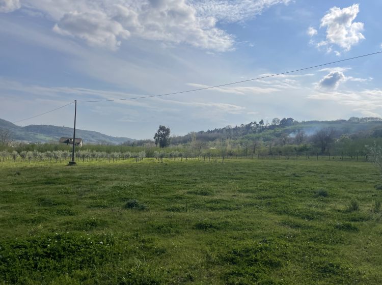 Terreno agricolo in vendita, Contrada Salella, Campigliano, San Cipriano Picentino