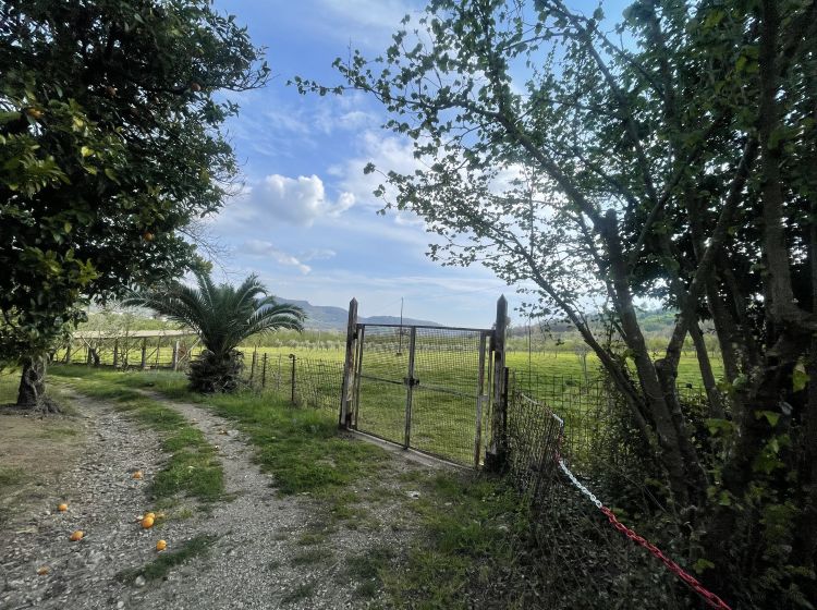 Terreno agricolo in vendita, Contrada Salella, Campigliano, San Cipriano Picentino
