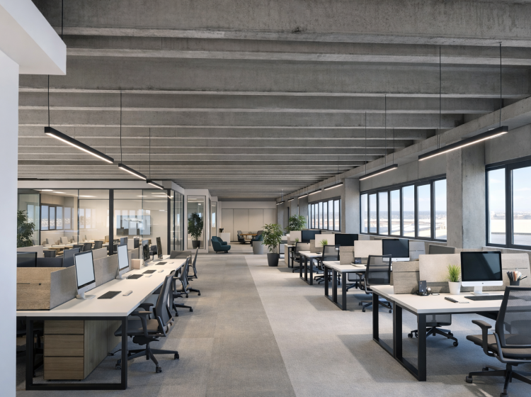 Capannone in affitto, via Cascina Lari, San Miniato Basso, San Miniato