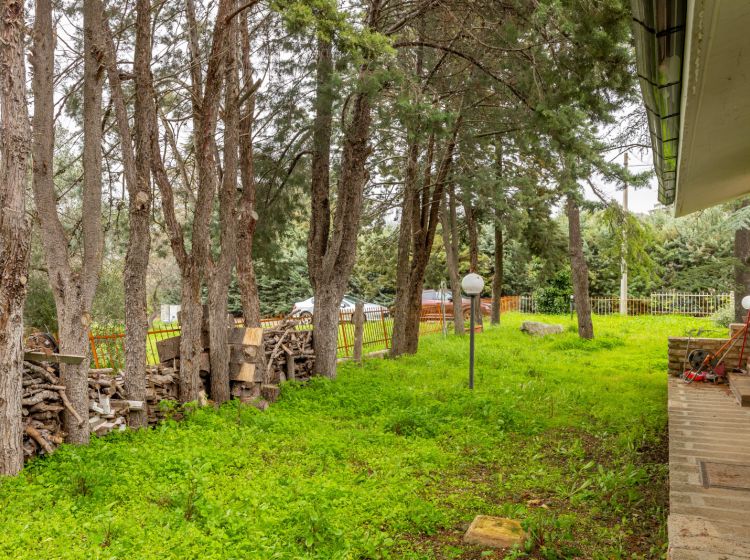 Villa in vendita, via Pedali della Murgia  39, Toritto