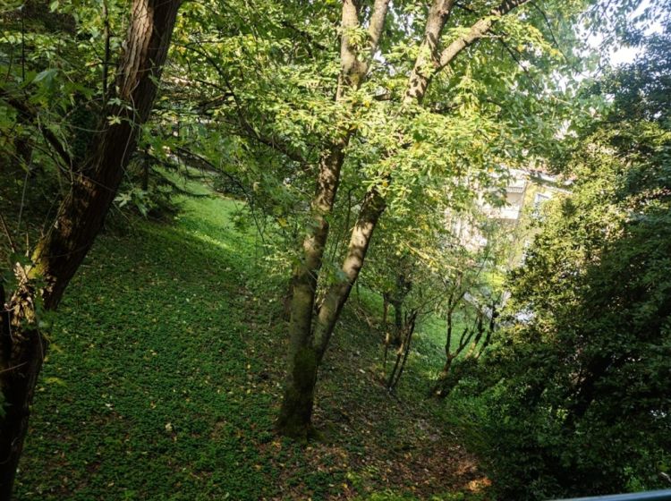 Bilocale in affitto, viale Rimembranze, Salsomaggiore Terme, Salsomaggiore Terme