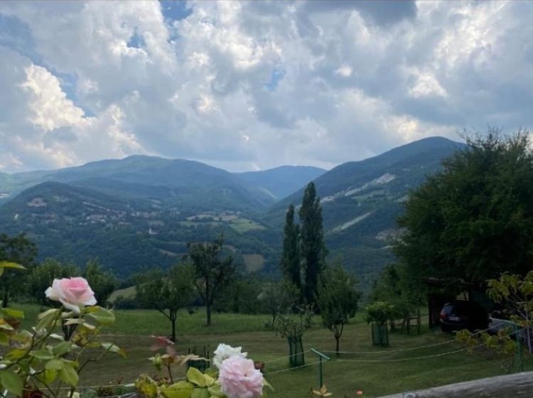 Dimora storica in vendita, Strada Terenzo - Bardone, Terenzo