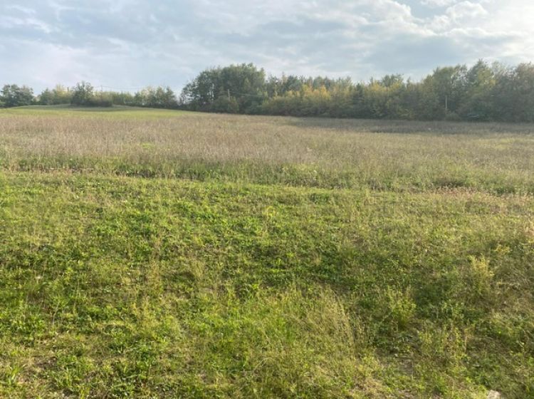 Terreno agricolo in vendita, via Zappati, Maiaitico, Sala Baganza