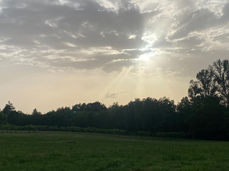 Terreno agricolo in vendita, via Zappati, Maiaitico, Sala Baganza