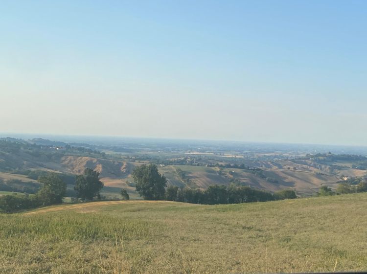 Terreno agricolo in vendita, via Zappati, Maiaitico, Sala Baganza