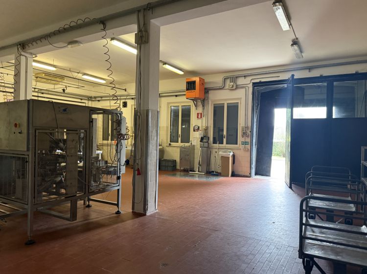 Capannone in affitto, via Naufraghi del Galilea, Sala Baganza