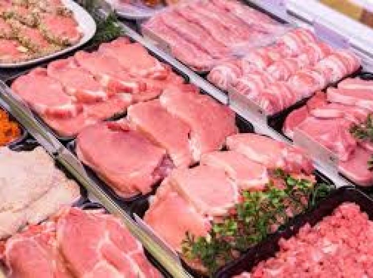 Attività / Licenza in vendita, via Borgo Padova, Piove Di Sacco