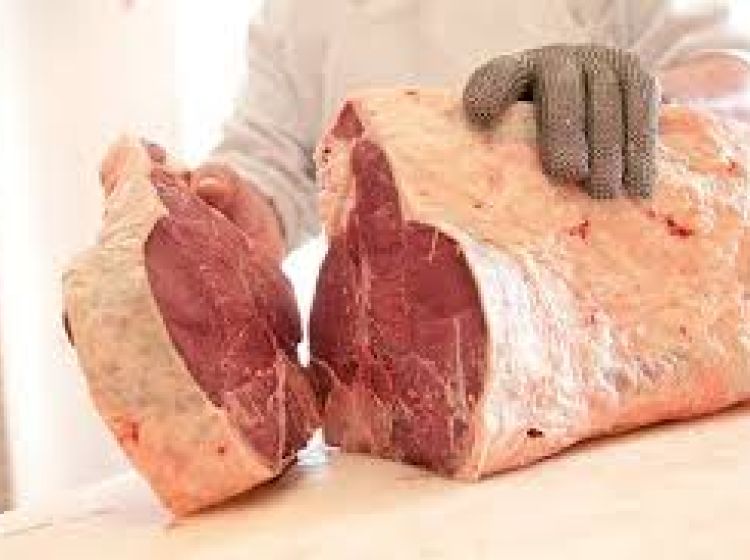 Attività / Licenza in vendita, via Borgo Padova, Piove Di Sacco