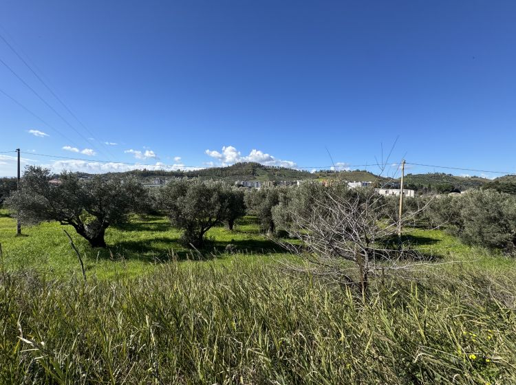 Terreno residenziale in vendita, viale Magna Grecia, Fortuna, Catanzaro