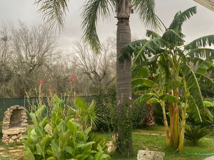 Villa in vendita, S.P. Supersano/Scorrano - Contrada Montinati, Supersano