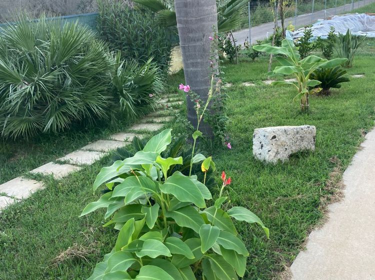 Villa in vendita, S.P. Supersano/Scorrano - Contrada Montinati, Supersano