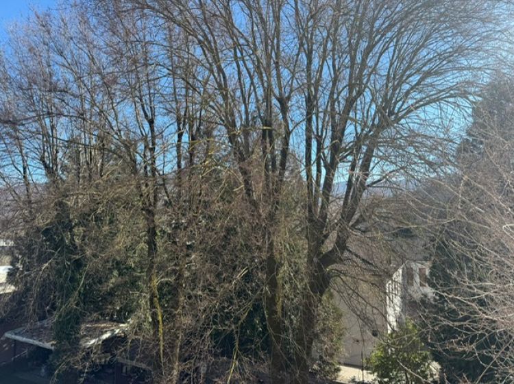 Trilocale in vendita, via Cesare Battisti, Borgo Val Di Taro