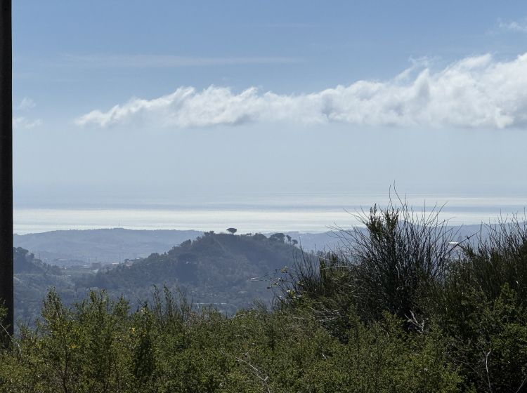 Terreno residenziale in vendita, via Paolo Emilio Tulelli, Sant'Elia, Catanzaro