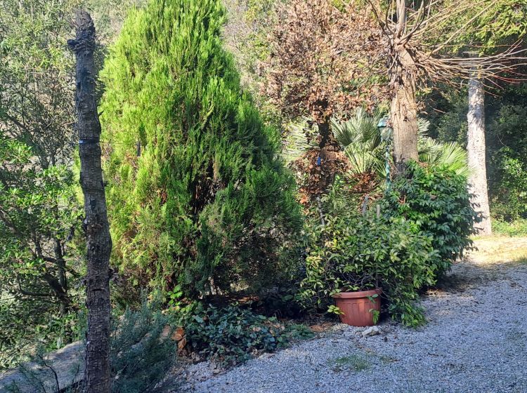 Villa in vendita, via Pineta  12, Poggio Catino