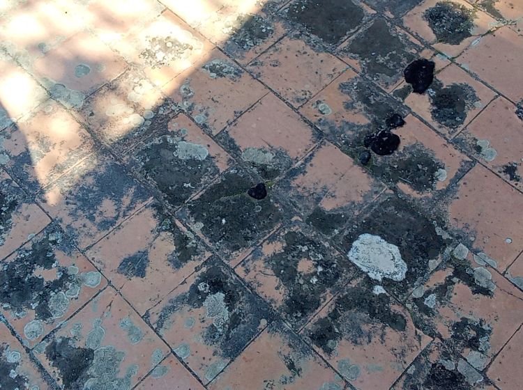 Terratetto unifamiliare in vendita, Vico Giuseppe Giusti, Gioiosa Ionica