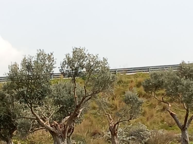 Terreno industriale o artigianale in vendita, via Grotteria Mare, Grotteria