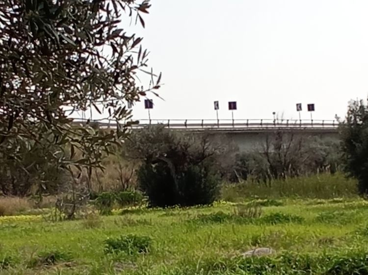 Terreno industriale o artigianale in vendita, via Grotteria Mare, Grotteria