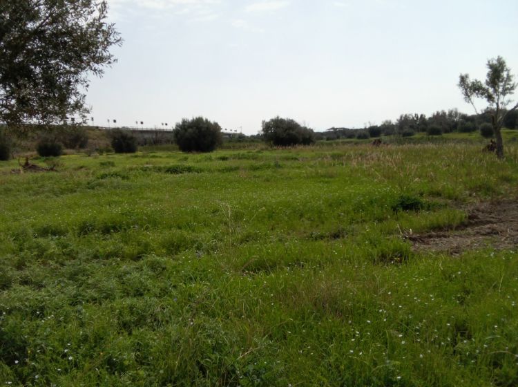 Terreno industriale o artigianale in vendita, via Grotteria Mare, Grotteria