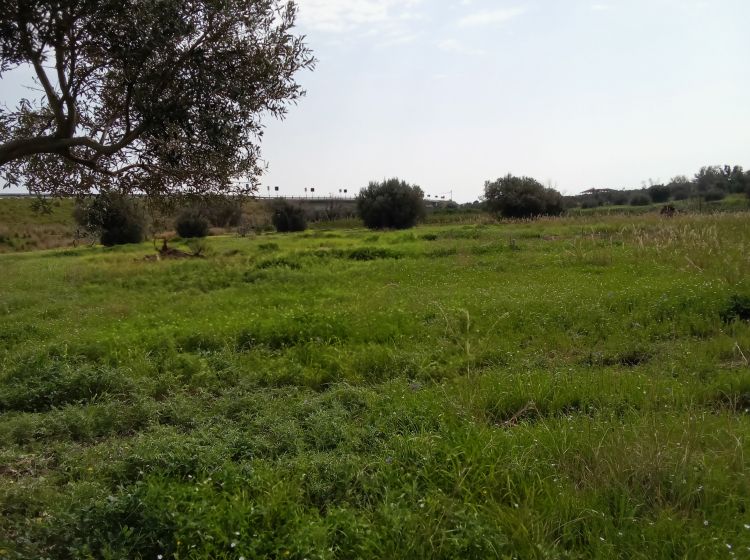 Terreno industriale o artigianale in vendita, via Grotteria Mare, Grotteria