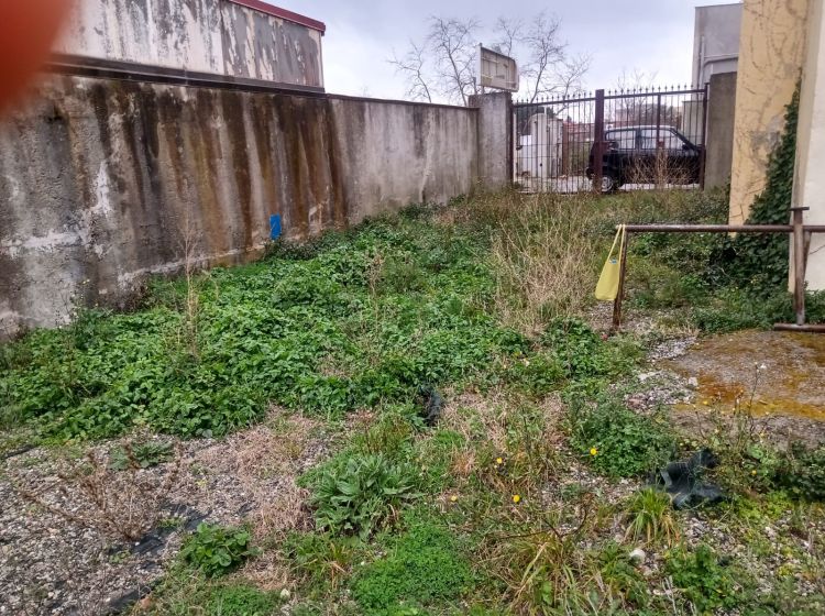 Terreno agricolo in vendita, via Ettore Vitale, Pontegrande, Catanzaro