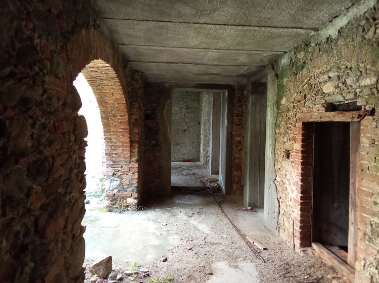 Podere o tenuta in vendita, Contrada Lacchi, Roccella Ionica