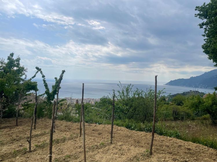 Casale in vendita, via Picarella 21, Salerno