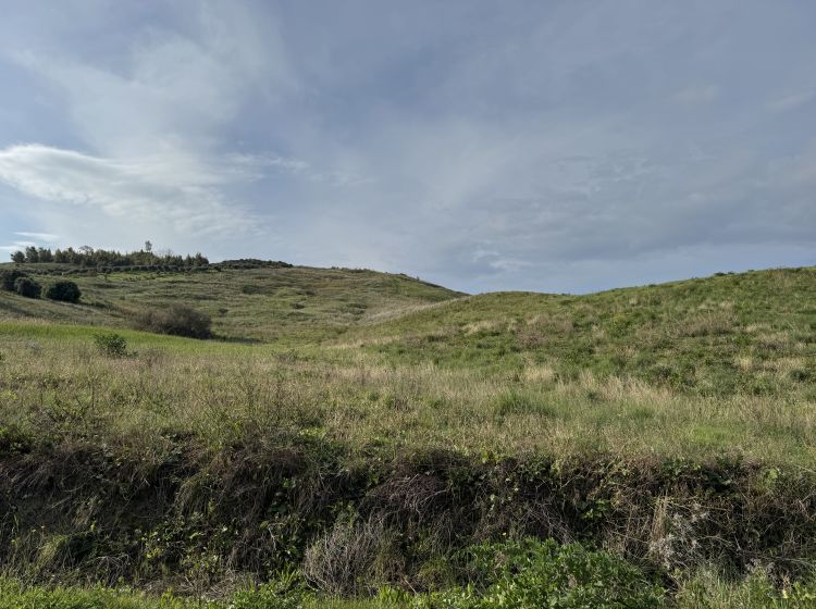 Terreno agricolo in vendita, viale Emilia  1, Catanzaro Lido, Catanzaro