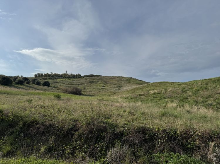 Terreno agricolo in vendita, viale Emilia  1, Catanzaro Lido, Catanzaro