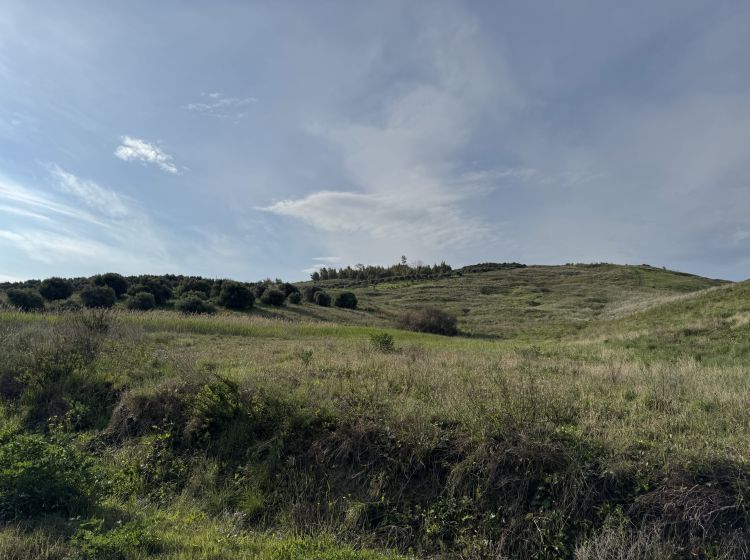 Terreno agricolo in vendita, viale Emilia  1, Catanzaro Lido, Catanzaro