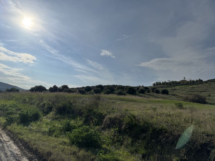 Terreno agricolo in vendita, viale Emilia  1, Catanzaro Lido, Catanzaro