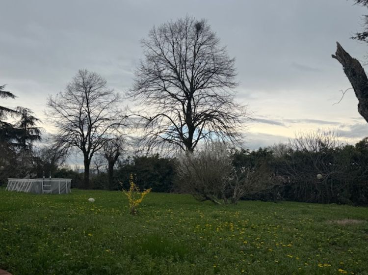 Villa in vendita, Montechiarugolo