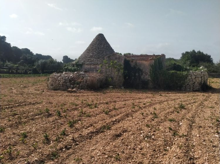 Rustico in vendita, cda Bellasora snc, Triggianello, Conversano