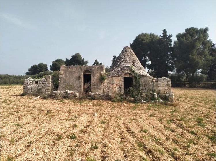 Rustico in vendita, cda Bellasora snc, Triggianello, Conversano