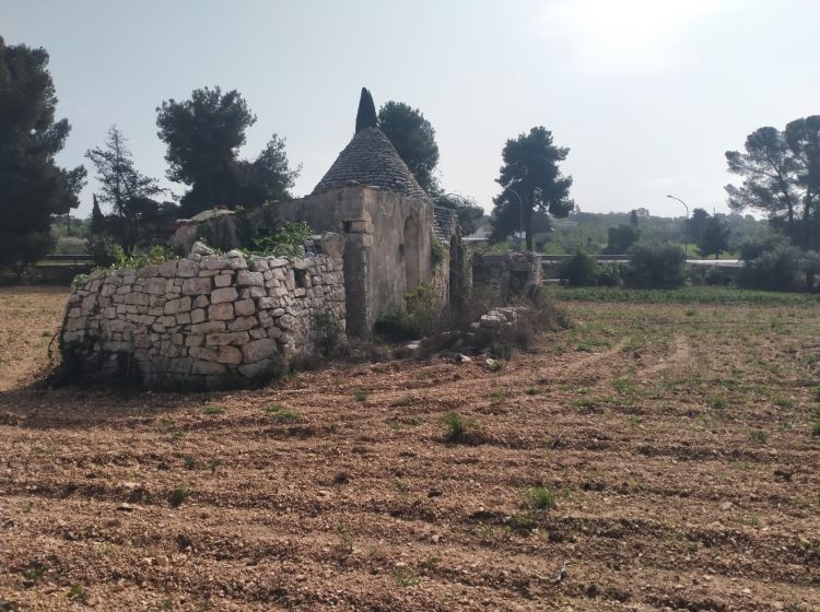 Rustico in vendita, cda Bellasora snc, Triggianello, Conversano
