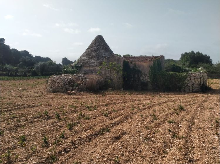 Rustico in vendita, cda Bellasora snc, Triggianello, Conversano