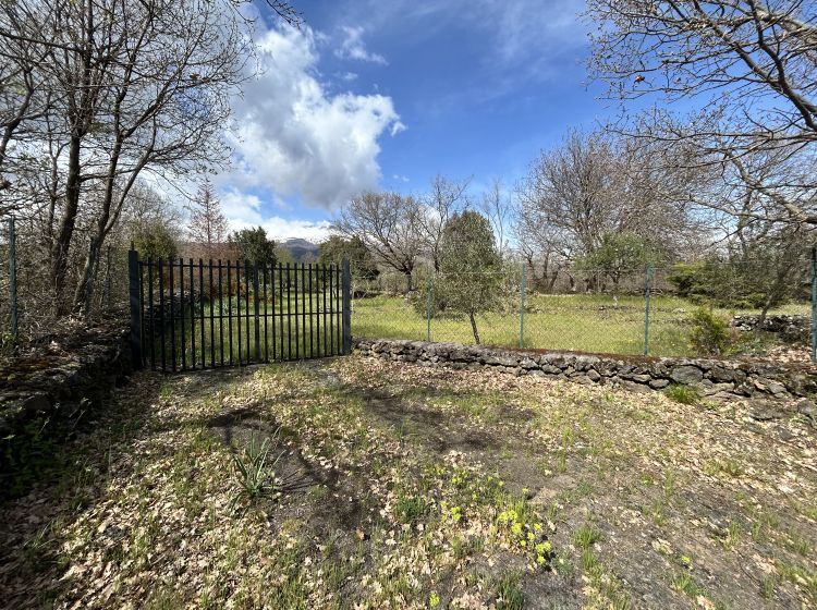 Terreno agricolo in vendita, Campo Nessunescluso  Segreta  Belpasso CT  Italia, Belpasso