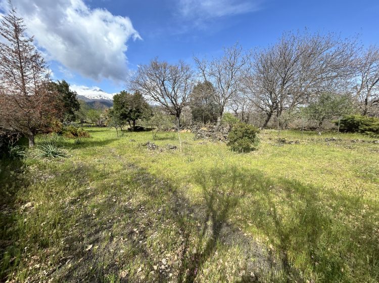 Terreno agricolo in vendita, Campo Nessunescluso  Segreta  Belpasso CT  Italia, Belpasso