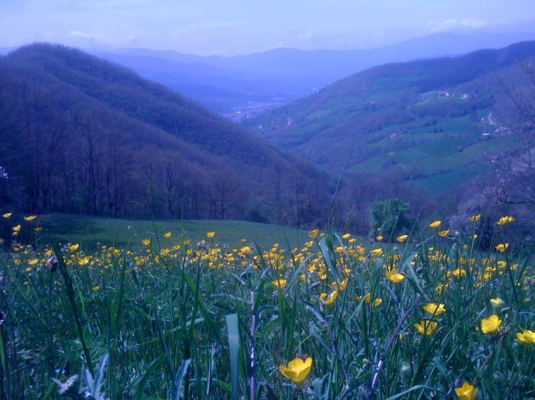 Attività / Licenza in vendita, via Piave, Borgo Val Di Taro