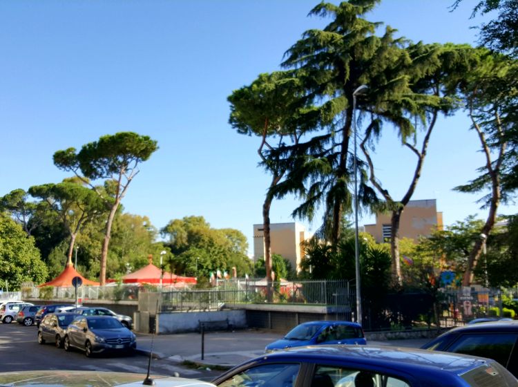 Negozio in affitto, via Ignazio Giorgi, Bologna, Roma