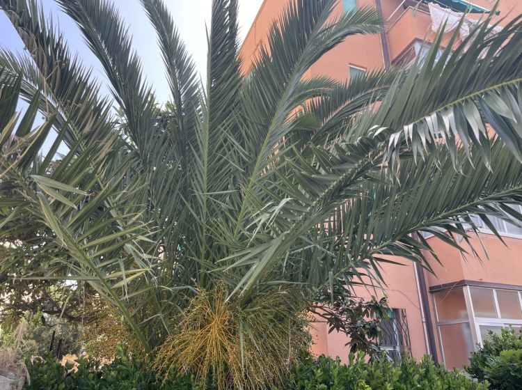 Trilocale in vendita, via Brigata Garibaldi  12, Centro residenziale, Livorno