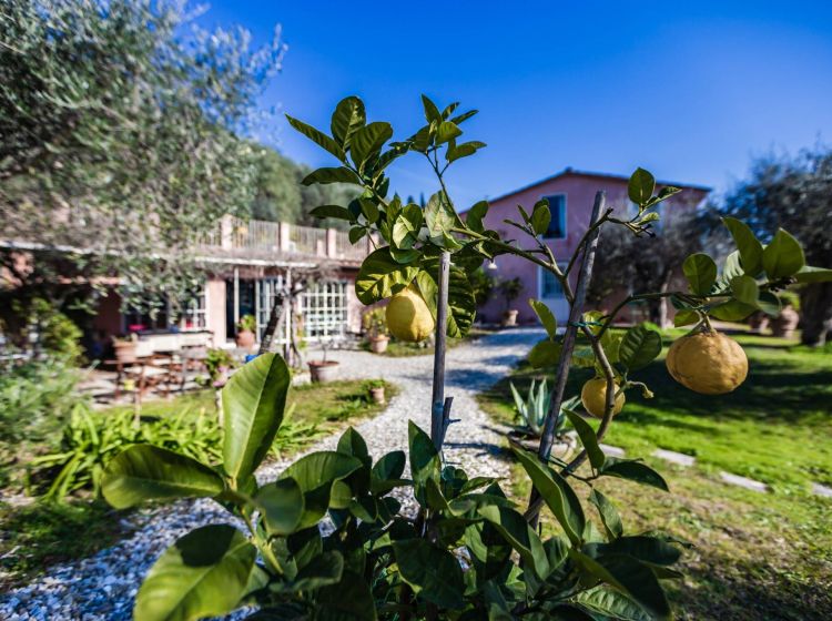 Villa in vendita, via della Colombaia  17, Massarosa