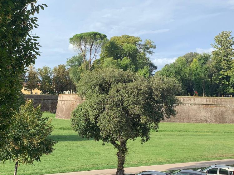 Quadrilocale in vendita, viale Giuseppe Giusti, Centro Storico, Lucca