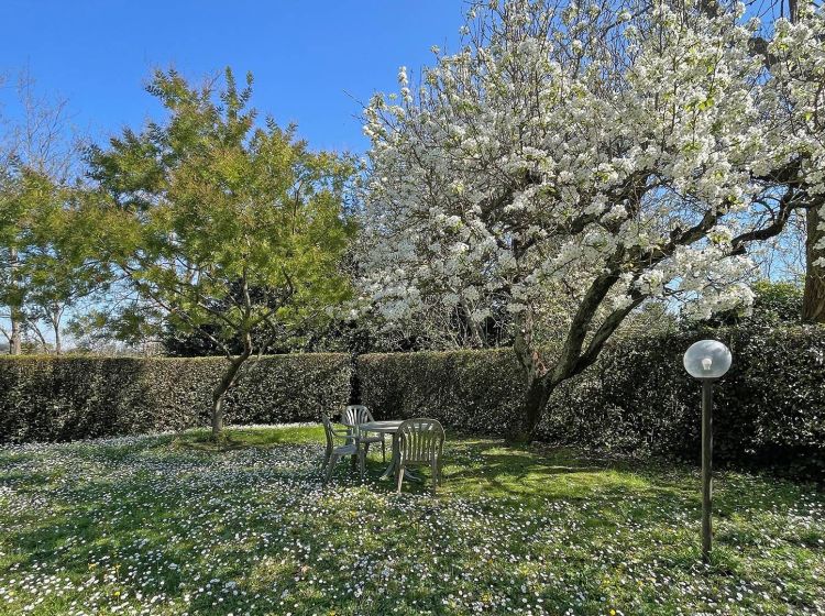 Villa in vendita, via La Marca, Lorenzana, Crespina Lorenzana