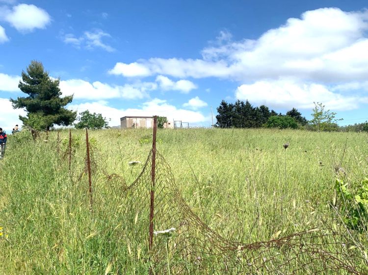 Terreno agricolo in vendita, Contrada Scarpa, Villafrati