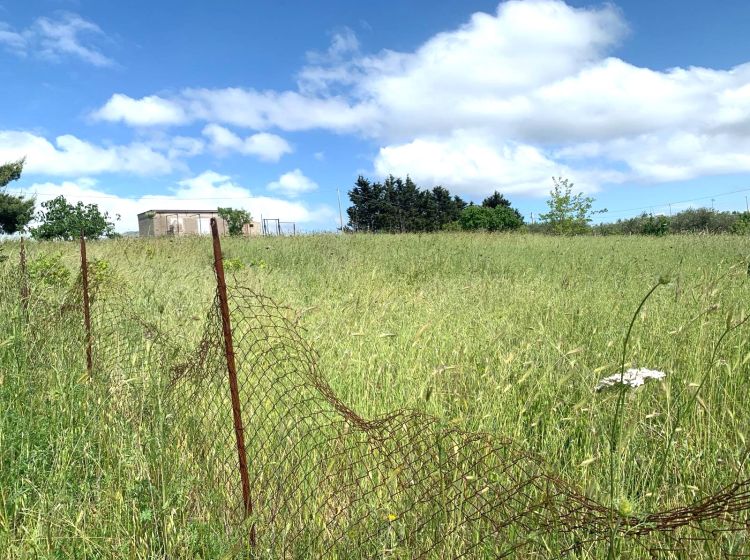Terreno agricolo in vendita, Contrada Scarpa, Villafrati