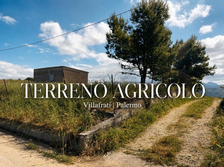Terreno agricolo in vendita, Contrada Scarpa, Villafrati