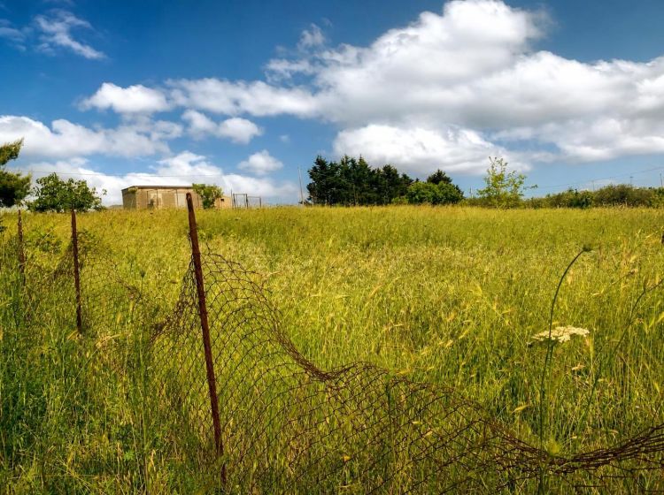 Terreno agricolo in vendita, Contrada Scarpa, Villafrati