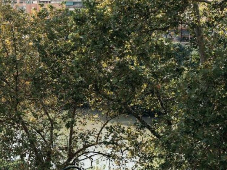 Trilocale in vendita, Lungotevere Testaccio  20, Testaccio, Roma