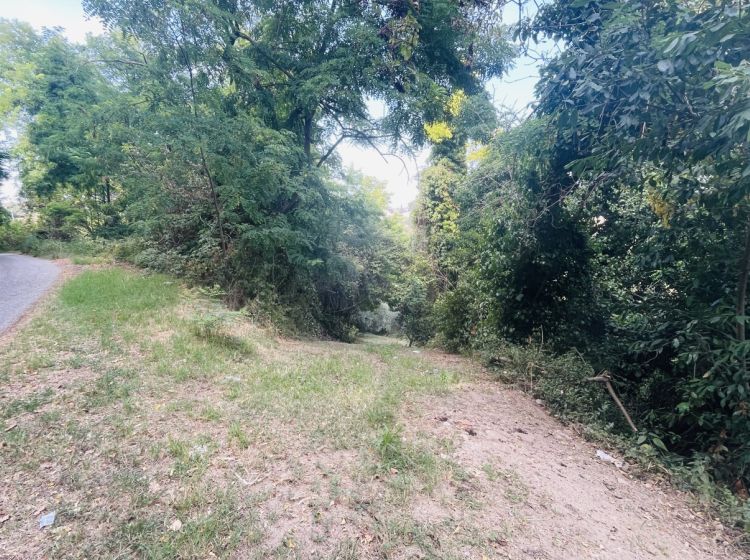 Terreno agricolo in vendita, via Sotto il Loco, Case Alte, Sant'omero