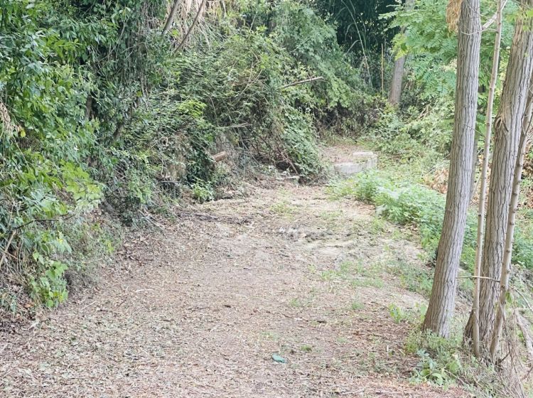 Terreno agricolo in vendita, via Sotto il Loco, Case Alte, Sant'omero